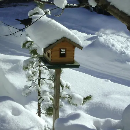 Haus Zillertal Apartment
